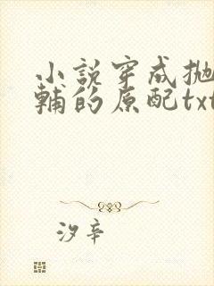 小说穿成抛弃首辅的原配txt下载