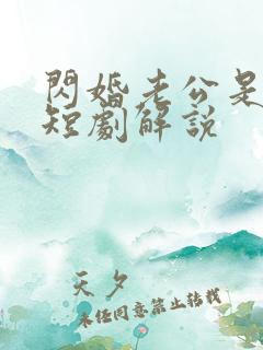 闪婚老公是总裁短剧解说