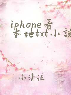 iphone看本地txt小说软件