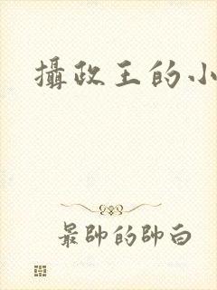 摄政王的小毒妃