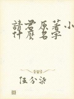 请君原著小说叫什么名字