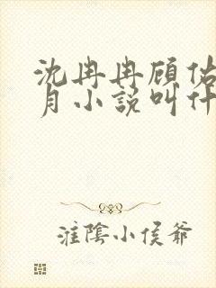 沈冉冉顾佑文方月小说叫什么名字