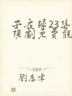 子夜归23集电视剧免费观看全集高清