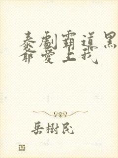 泰剧霸道黑帮少爷爱上我