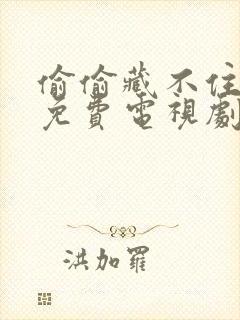 偷偷藏不住全集免费电视剧