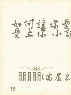 如何让你爱的人爱上你 小说