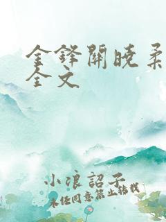 金锋关晓柔小说全文