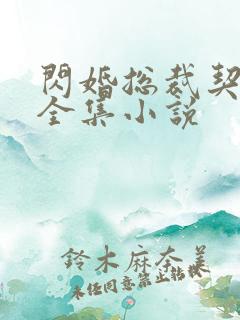 闪婚总裁契约妻全集小说