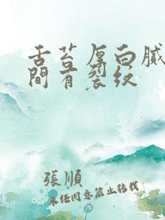 舌苔厚白腻黄中间有裂纹