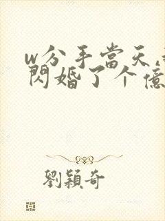 w分手当天,我闪婚了个亿万富翁》