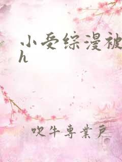 小受综漫被各种h