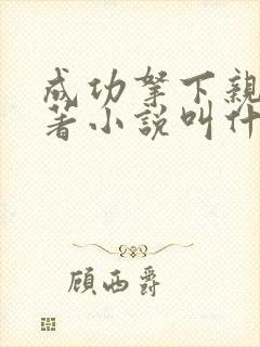 成功拿下亲妈原著小说叫什么名字