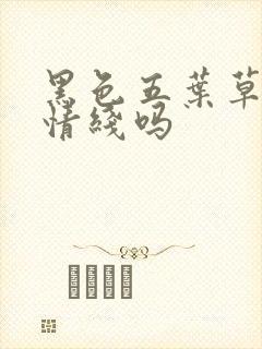 黑色五叶草有感情线吗