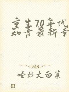 重生70年代当知青最新章节