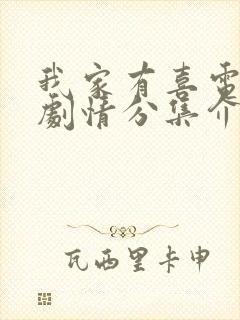 我家有喜电视剧剧情分集介绍