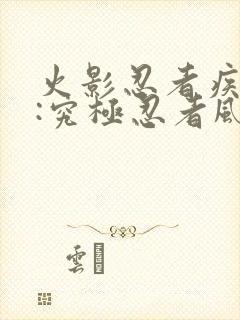 火影忍者疾风传:究极忍者风暴遗产