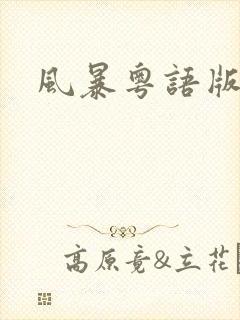 风暴粤语版高清
