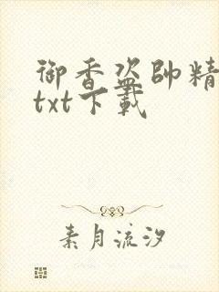 御香盗帅精校版txt下载