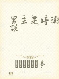 男主是暗卫的小说