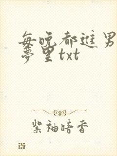 每晚都进男神的梦里txt