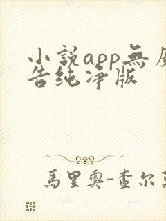 小说app无广告纯净版