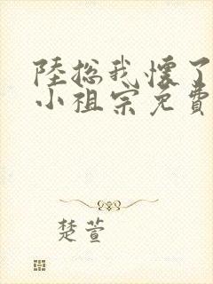 陆总我怀了你的小祖宗免费短剧