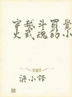 穿越斗罗觉醒异火武魂的小说