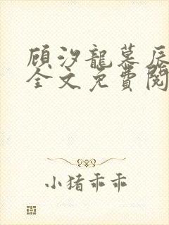 顾汐龙慕辰小说全文免费阅读