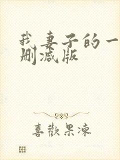 我妻子的一切未删减版