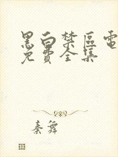 黑白禁区电视剧免费全集