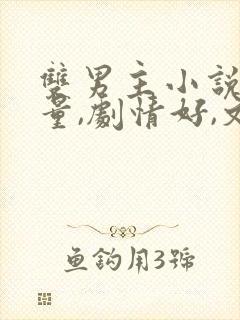 双男主小说高质量,剧情好,文笔好