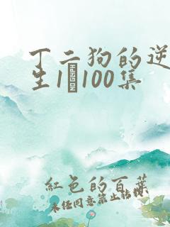 丁二狗的逆袭人生1–100集