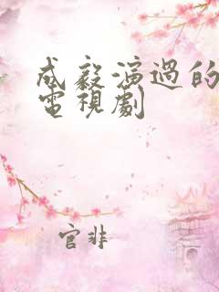 成毅演过的所有电视剧