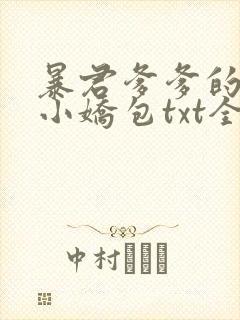 暴君爹爹的团宠小娇包txt全本