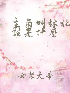 主角叫林北的小说是什么