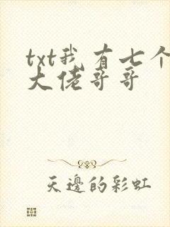 txt我有七个大佬哥哥