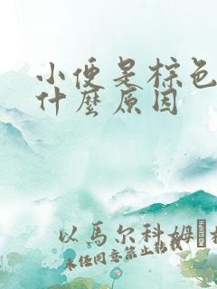 小便是棕色的是什么原因