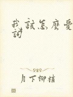 我该怎么爱你歌词