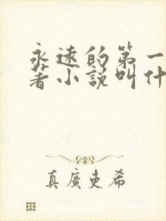 永远的第一名原著小说叫什么