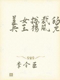 美女总裁的贴身兵王杨风免费阅读