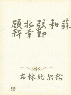 顾北弦和苏o最新章节