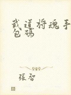 武道将魂手游礼包码