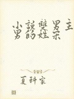 小说双男主一个男的姓宋