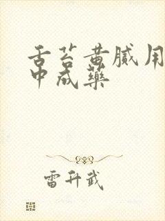 舌苔黄腻用什么中成药