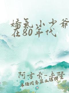 娇气小少爷重生在80年代