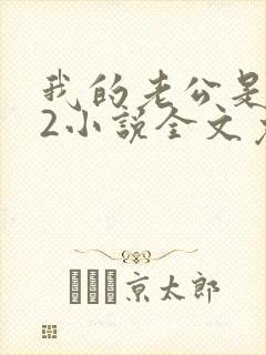 我的老公是冥王2小说全文免费阅读