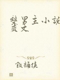 双男主小说推荐爽文