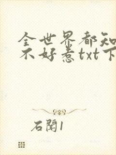 全世界都知道我不好惹txt下载