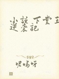 小说 下堂王妃逆袭记