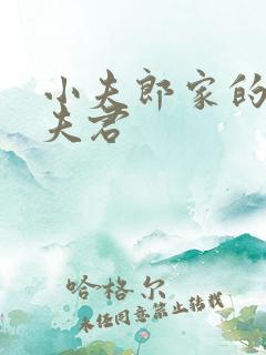 小夫郎家的神医夫君